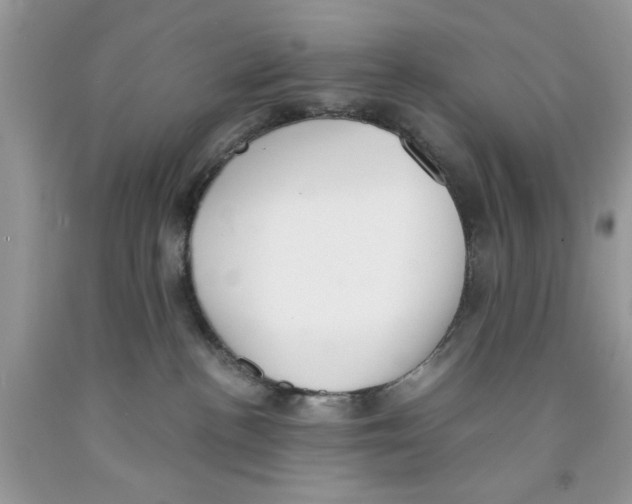 X0000091520188200709141422