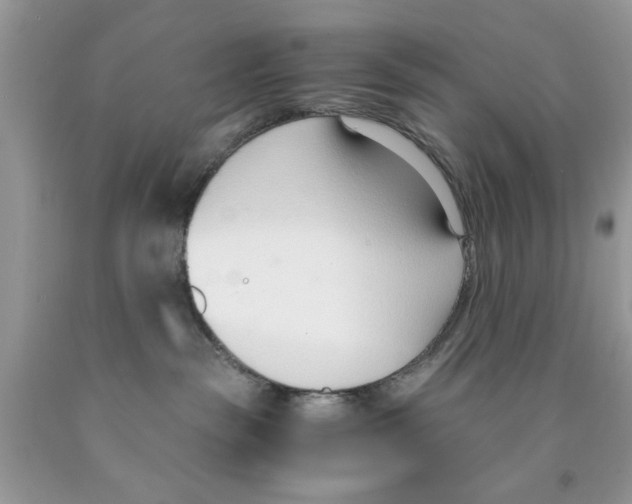 X0000091520189200709141422