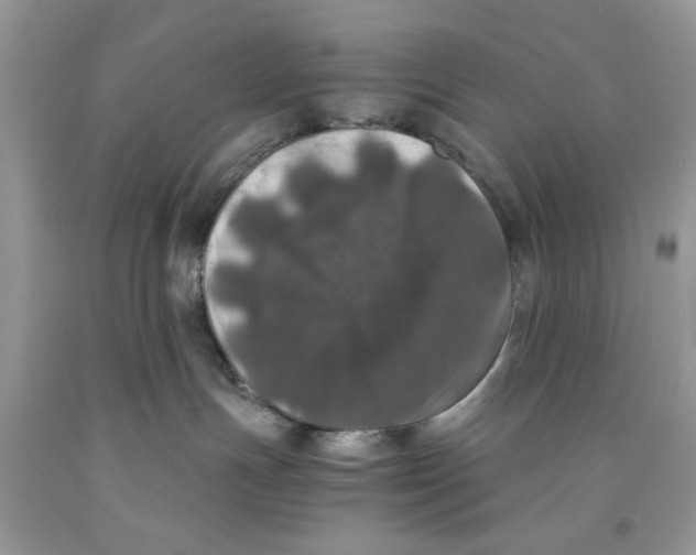 X0000091520191200709141422