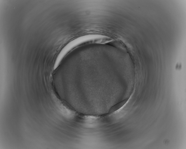 X0000091520192200709141422