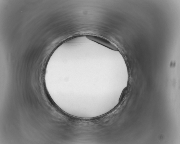 X0000091520193200709141421