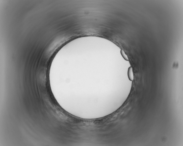 X0000091520194200709141421