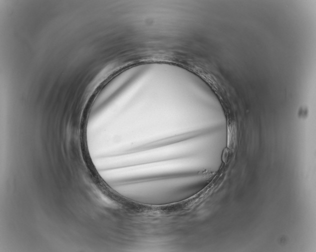 X0000091520195200709141421