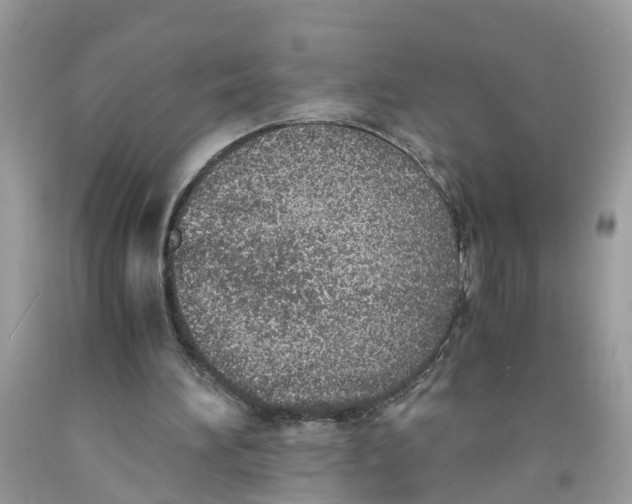 X0000091520196200709141421