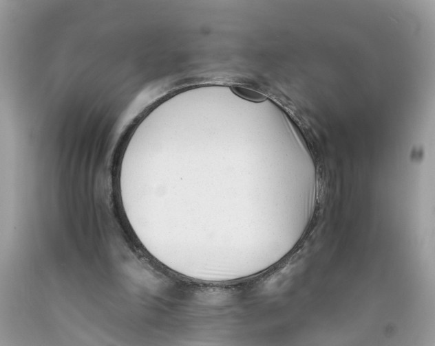 X0000091520198200709141421