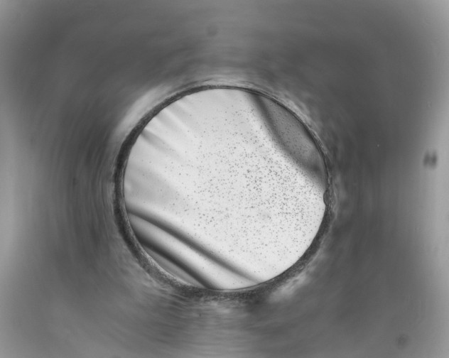 X0000091520199200709141421