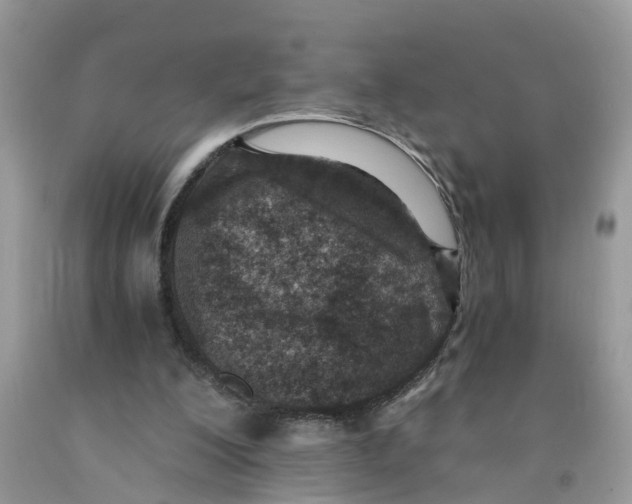 X0000091520200200709141421