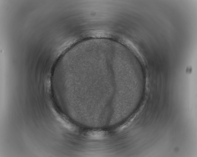 X0000091520202200709141421