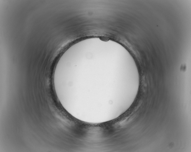 X0000091520203200709141421