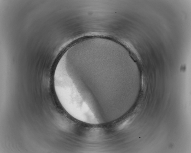 X0000091520204200709141421