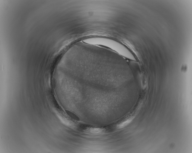 X0000091520205200709141421