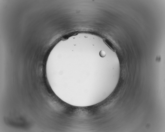 X0000091520207200709141421