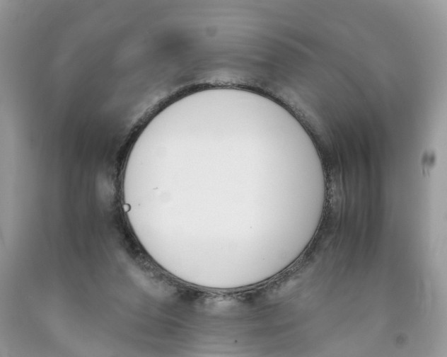 X0000091520208200709141421