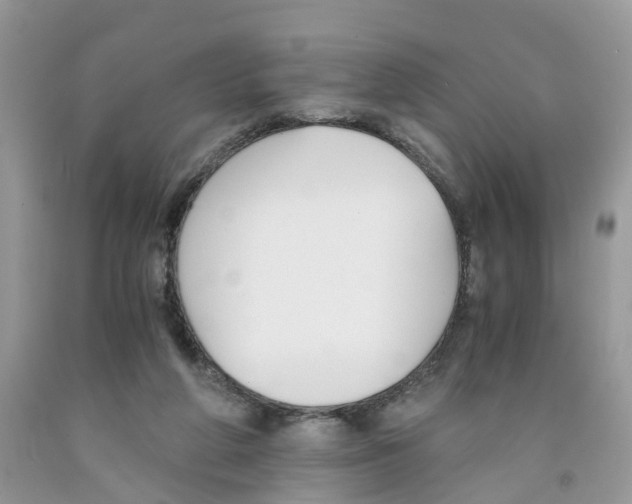 X0000091520210200709141421