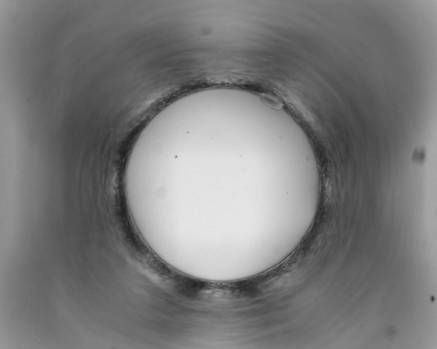 X0000091520211200709141421