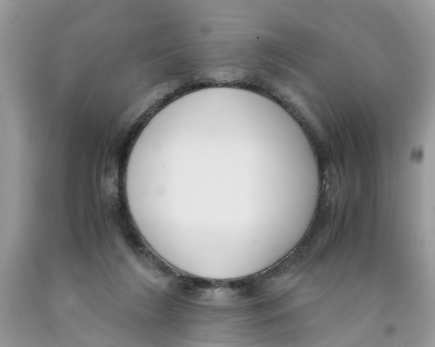 X0000091520212200709141421