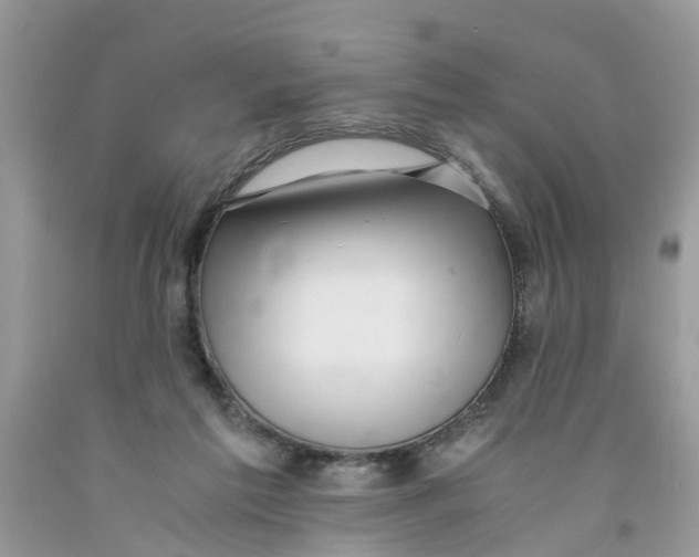 X0000091520213200709141421