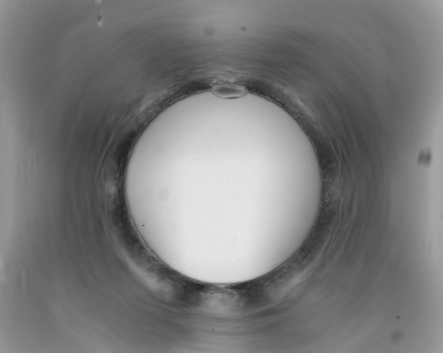 X0000091520215200709141421