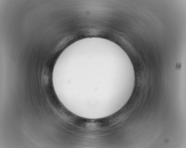 X0000091520216200709141421