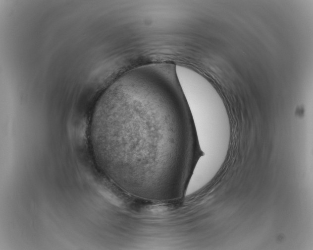 X0000091520219200709141421