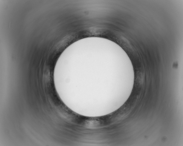 X0000091520220200709141421