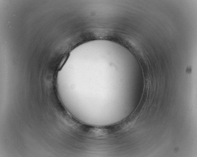 X0000091520221200709141421