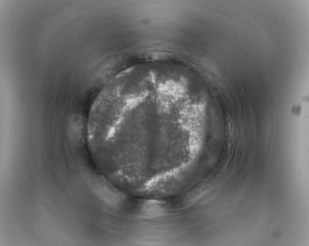 X0000091520222200709141421