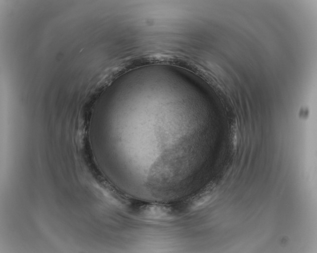 X0000091520223200709141421