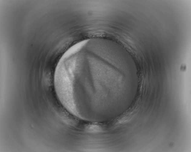 X0000091520224200709141421