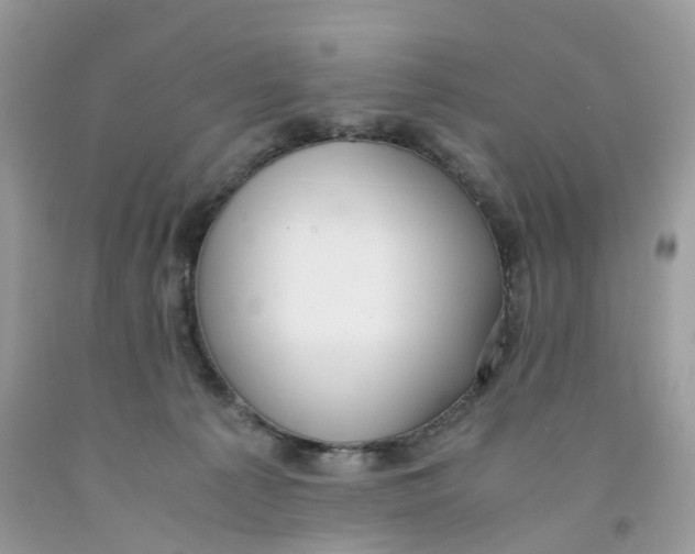 X0000091520225200709141421