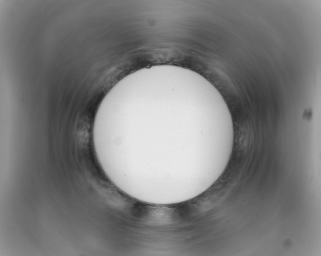 X0000091520226200709141421