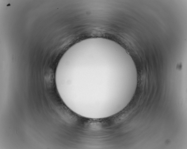 X0000091520228200709141421