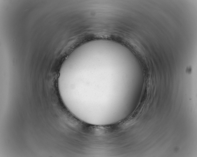 X0000091520229200709141421