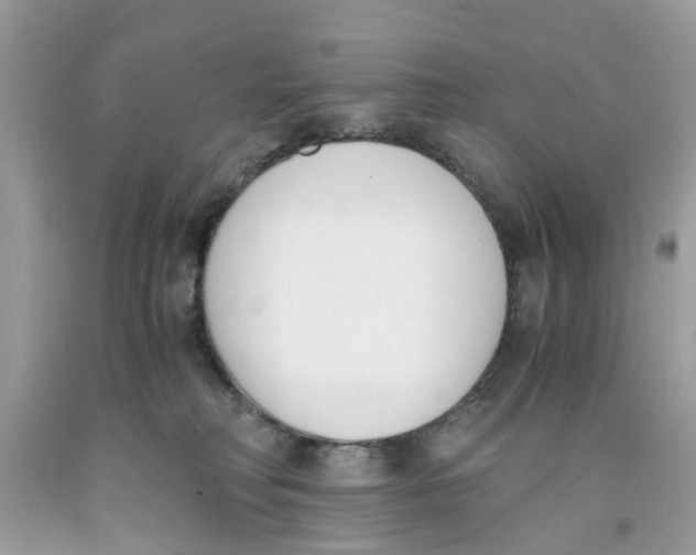 X0000091520230200709141421