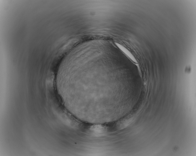 X0000091520231200709141421