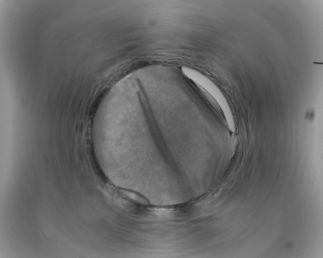 X0000091520233200709141421