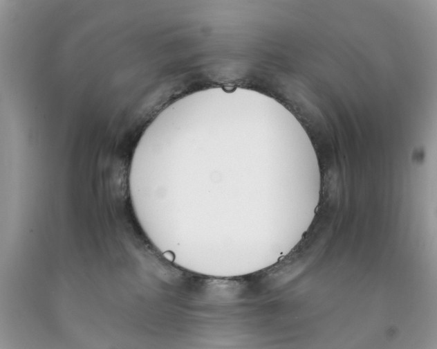 X0000091520234200709141421