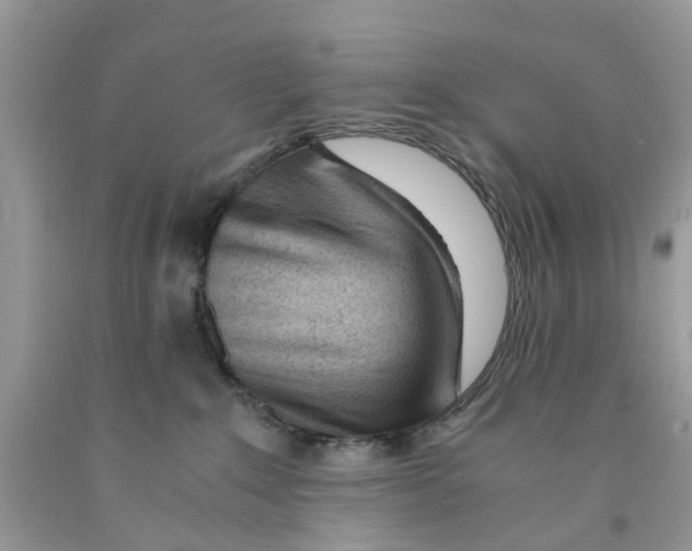 X0000091520235200709141421