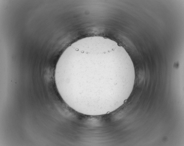 X0000091520236200709141421