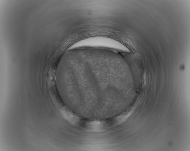 X0000091520237200709141421