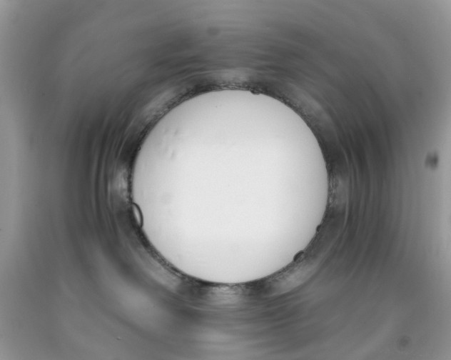 X0000091520238200709141421