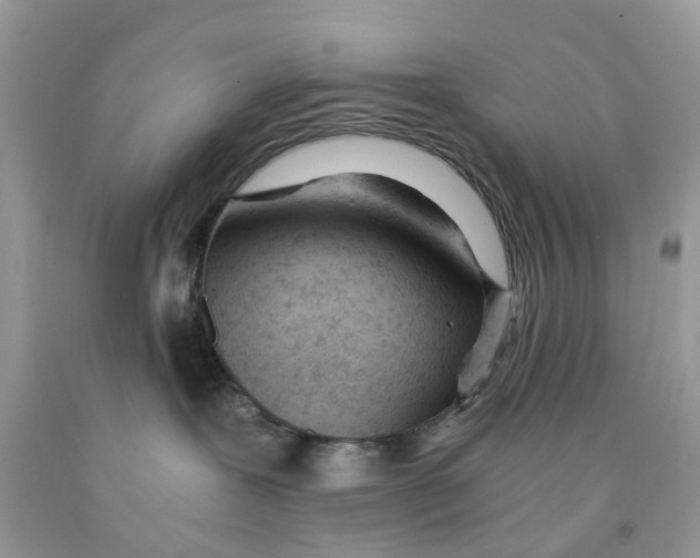 X0000091520239200709141421