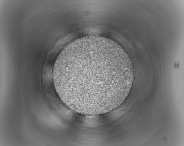 X0000091520240200709141421