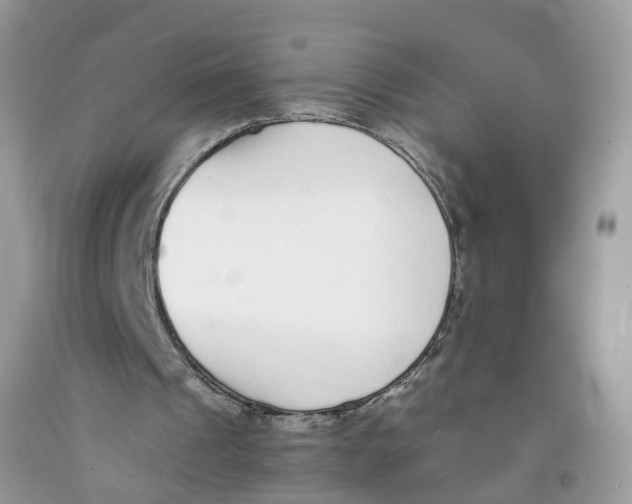 X0000091520241200709141420