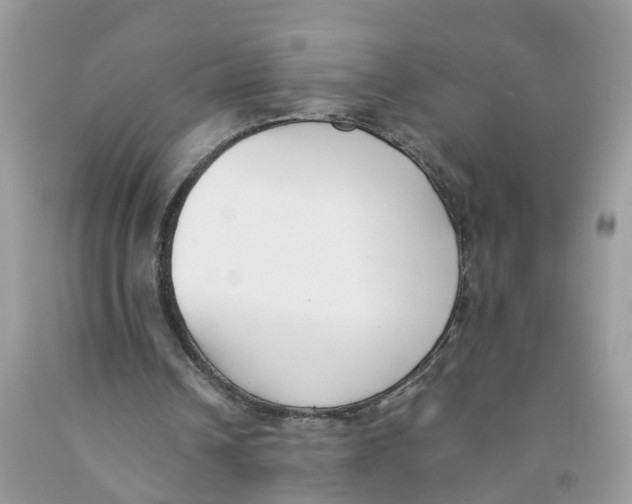 X0000091520242200709141420