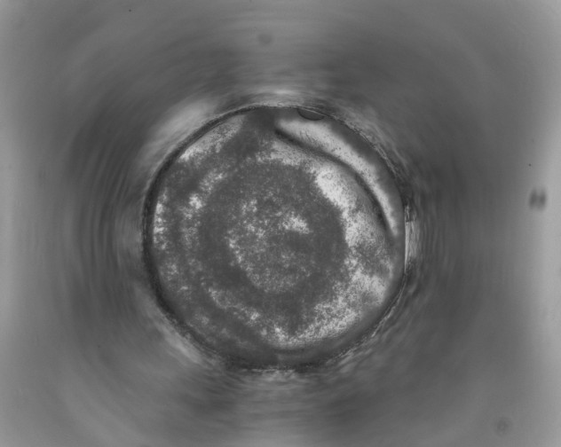 X0000091520243200709141420