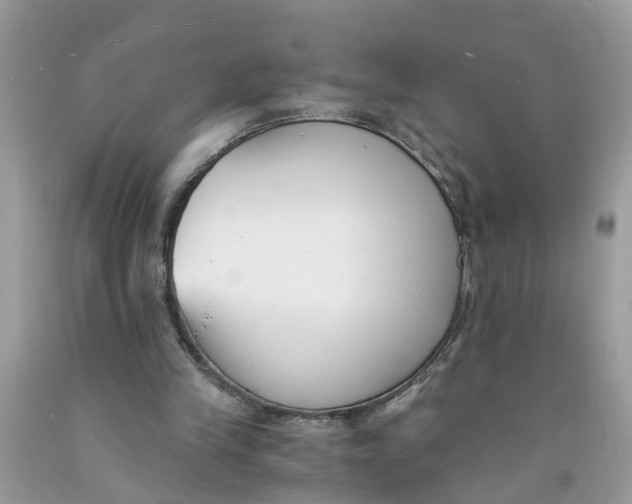 X0000091520245200709141420