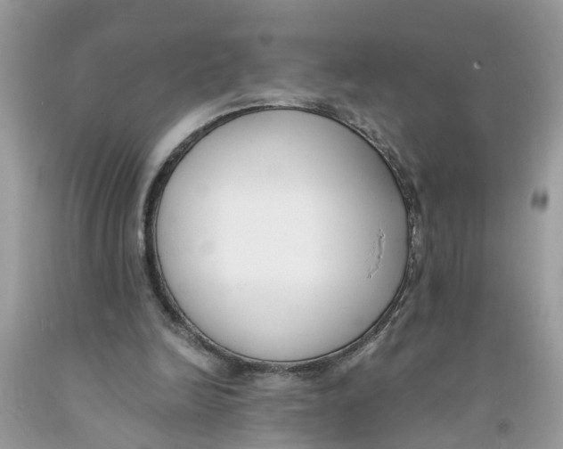 X0000091520246200709141420