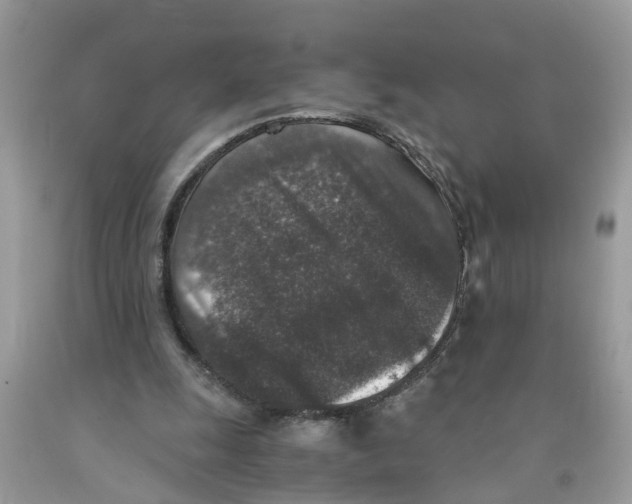 X0000091520247200709141420