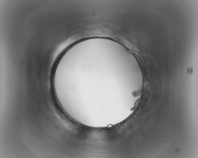 X0000091520248200709141420